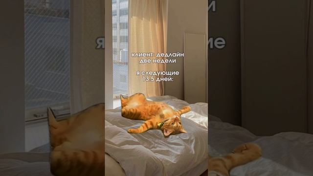 ха ха ха - это смешно, конечно, но в реальности я стараюсь делать все сразу! смотреть онлайн