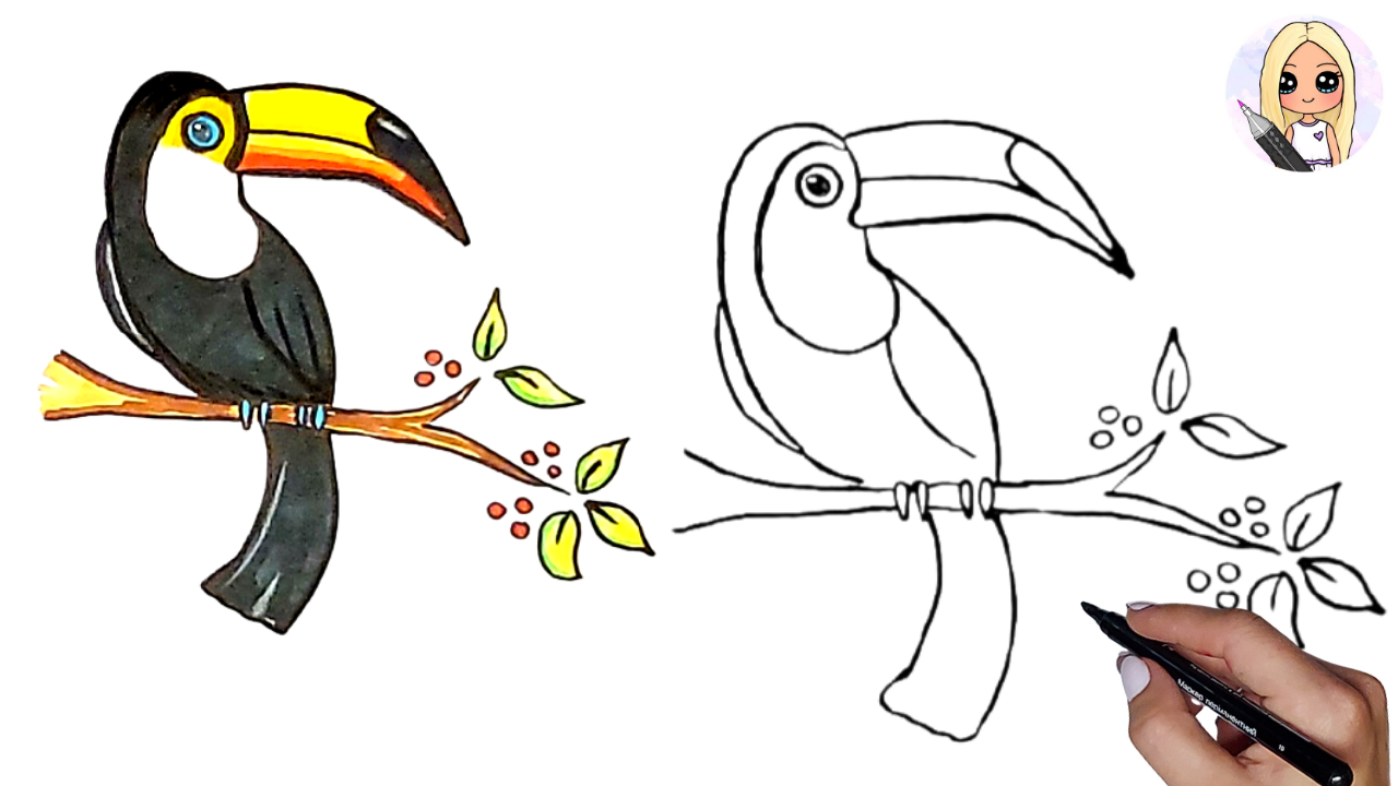 Как нарисовать птицу тукан