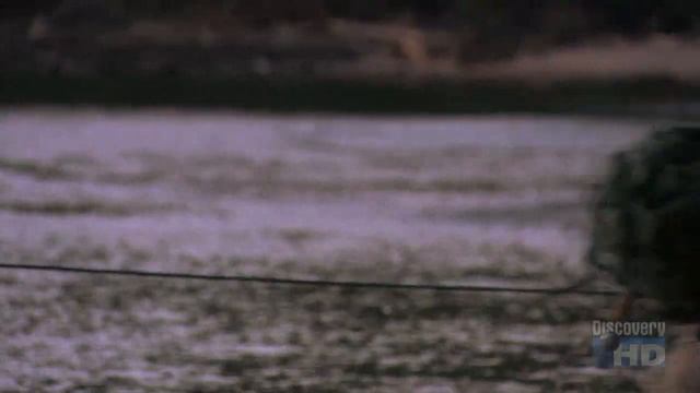 Austin Stevens - Snakemaster - In Search of The Komodo Dragon смотреть онлайн