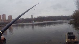Рыбалка на спиннинг, Москва река в ноябре 2018