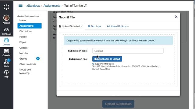 Canvas + Turnitin LTI From a Student's Perspective смотреть онлайн