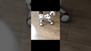 Обзор. Интерактивная Robot Собака Smart Pet Dog.