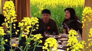 В китайской провинции Сычуань нашли необычное применение цветущему рапсу