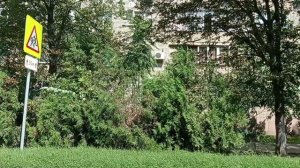 ?Едем по Краснодару. Ул. Сормовская