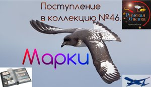 Поступление в коллекцию  №46. Марки
