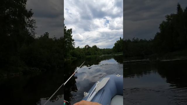 Как клевал голавль на р. Чусовая в июле 2019г смотреть онлайн