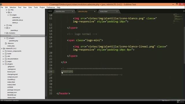 10 - Adding modules to the POS system - Part 2: Building a Plugin Architecture