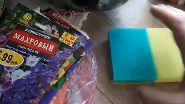 Проращивание семян в суспензии хлореллы...