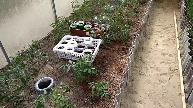 Внекорневая подкормка для увеличения урожая.Часть 1