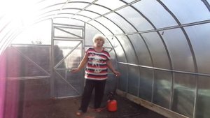 ДЕЗИНФЕКЦИЯ ТЕПЛИЦЫ ОСЕНЬЮ. ТЕРМИЧЕСКАЯ ОБРАБОТКА. Ольга Чернова.