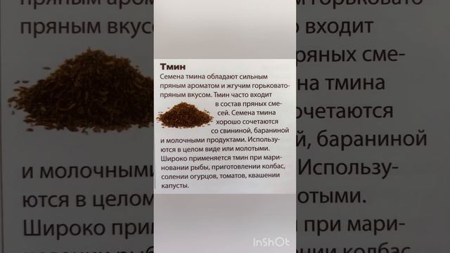 Пряности в кулинарии :Тмин