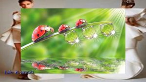 О похудении: почему вес  не  уходит - главные причины + заговор для похудения