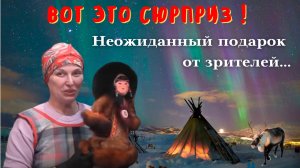 ЗРИТЕЛИ ПРИСЛАЛИ ЧУКЧУ С КЕДРОВЫМИ ОРЕШКАМИ