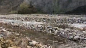 🍀КЕДА🍀QEDA🍀ქედა🍀Грузия Аджария 🍀Georgia Adjara 🍀тур по Грузии |жизнь в Грузии |Milk ky 🌹