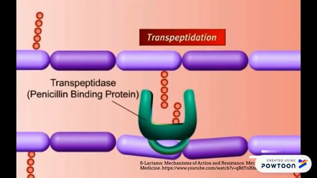 AMOXICILINA смотреть онлайн