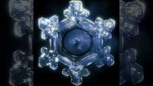 Как слова меняют структуру воды! И, соответственно, влияют на человека!