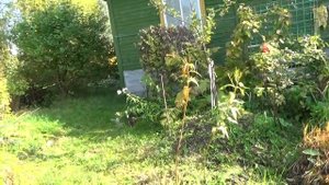 2 часть Обзор дачи в сентябре 2020г Кострома