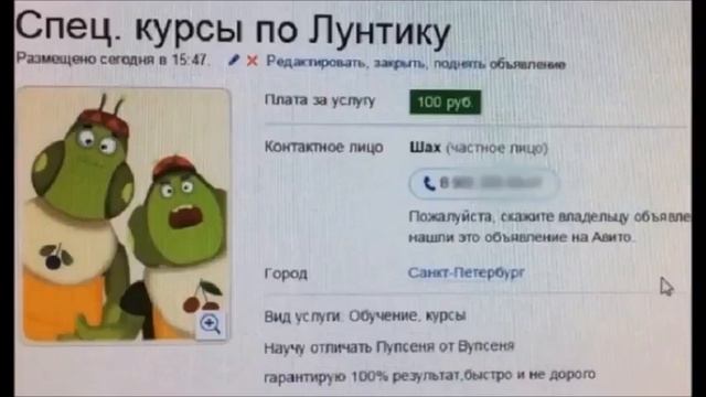 прикольные объявления на авито смотреть онлайн