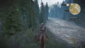 Ведьмак 3. Каэр Морхен. Скрытый квест: Меч Беренгара.