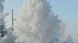 ИЗ ОСЕНИ ТЫ МАШЕШЬ МНЕ РУКОЙ.