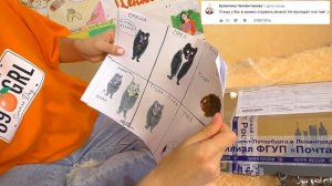 В посылке НАШЛИ МЫШЬ / ЧТО нам ПРИСЛАЛИ из СПБ и Казахстана? / РАСПАКОВКА посылок / Alisa Easy Pets