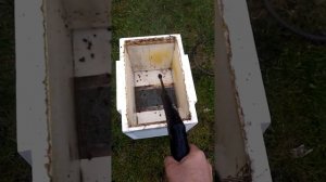 Очистка ульев ППС и инвентаря Минимойкой Karcher