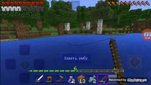 20дней 13-14 день