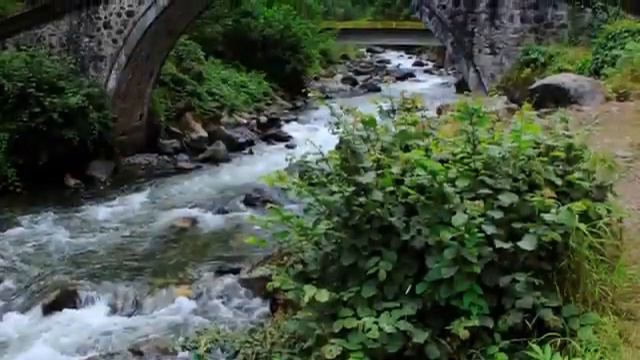 Him - Zeynep Başkan Sevduğum siğaranı ne hoş içersin - Ayder yaylası Harika... смотреть онлайн