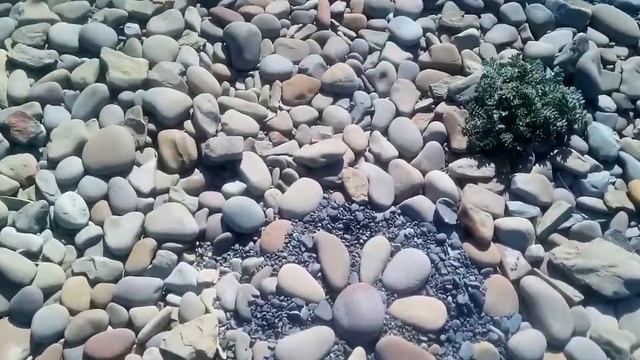 Цветы из камня. Солнечные часы. Утриш, вторая лагуна, апрель 2020 смотреть онлайн