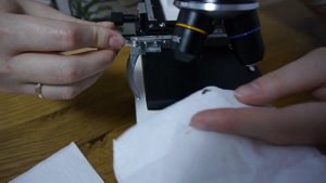 Купили микроскоп