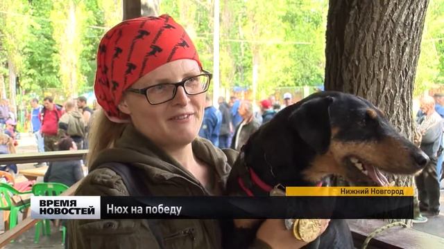 Выставка собак охотничьих пород смотреть онлайн