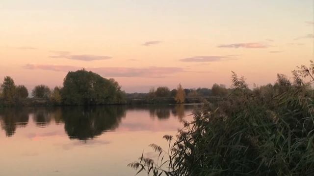 Субботний стих- " Спасибо" смотреть онлайн