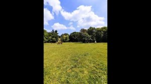 моя авторская песня под названием "Купидон"