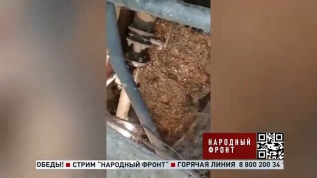 Как работает ПИК Комфорт – это позор смотреть онлайн