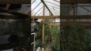 утепление северного склона теплицы 08 09 2019