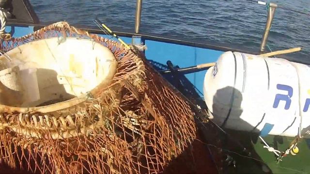 Палтус 37,000 (Камчатка) смотреть онлайн