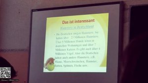 Открытый урок немецкого языка в 5-м классе по теме "Животные"