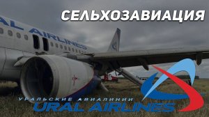 Посадка на пшеничное поле под Новосибирском. Рейс 1383, Сочи-Омск, Уральские авиалинии.