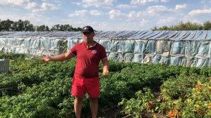 ????Новый бизнес на котором можно заработать с гектара 3000000 рублей ???