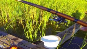 Рыбалка. Ловля рыбы на снасть "Убийца карася"