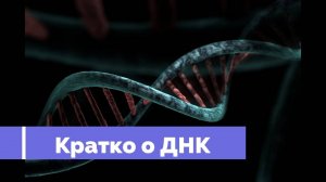 КРАТКО О ДНК