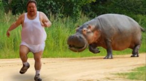 funny-different-animals-chasing-and-scaring-people-2024-part-5