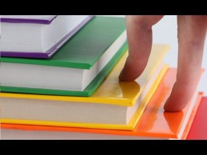 Что важнее: получать знания или развивать отношения? Марина Тарнакова