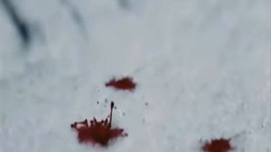 гр Сплин Волк