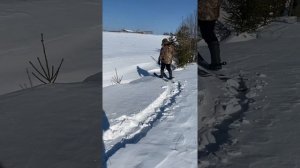 И снова тестим лыжи охотничьи пластик с полоской камуса