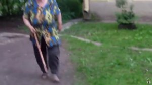 Бешеная бабка