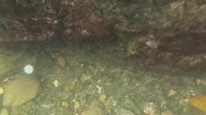 Бухта Анна (Приморье часть #2)