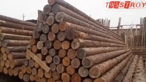 29.11. Турткул Тахта бозори нархлари