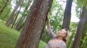 СПАССКОЕ-ЛУТОВИНОВО/ПРОГУЛКА ПО УСАДЬБЕ И.С.ТУРГЕНЕВА/к 200-летию И.С,Тургенева