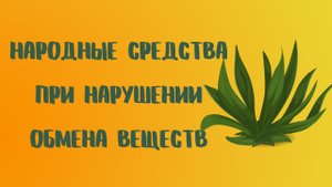 Народные средства при нарушении обмена веществ.mp4